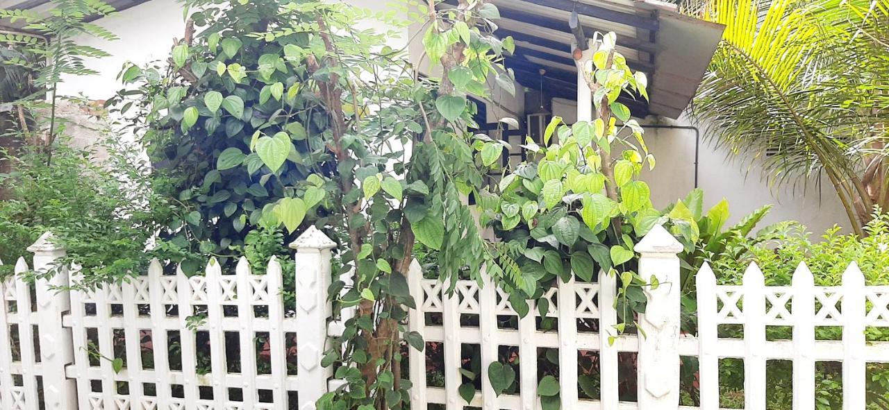 Hiriketiya Cinnamon Garden Dikwella Luaran gambar