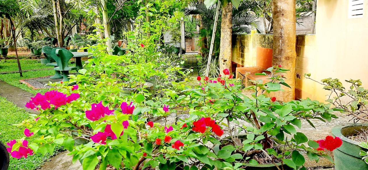 Hiriketiya Cinnamon Garden Dikwella Luaran gambar