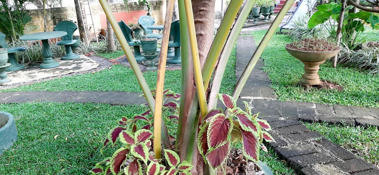 Hiriketiya Cinnamon Garden Dikwella Luaran gambar