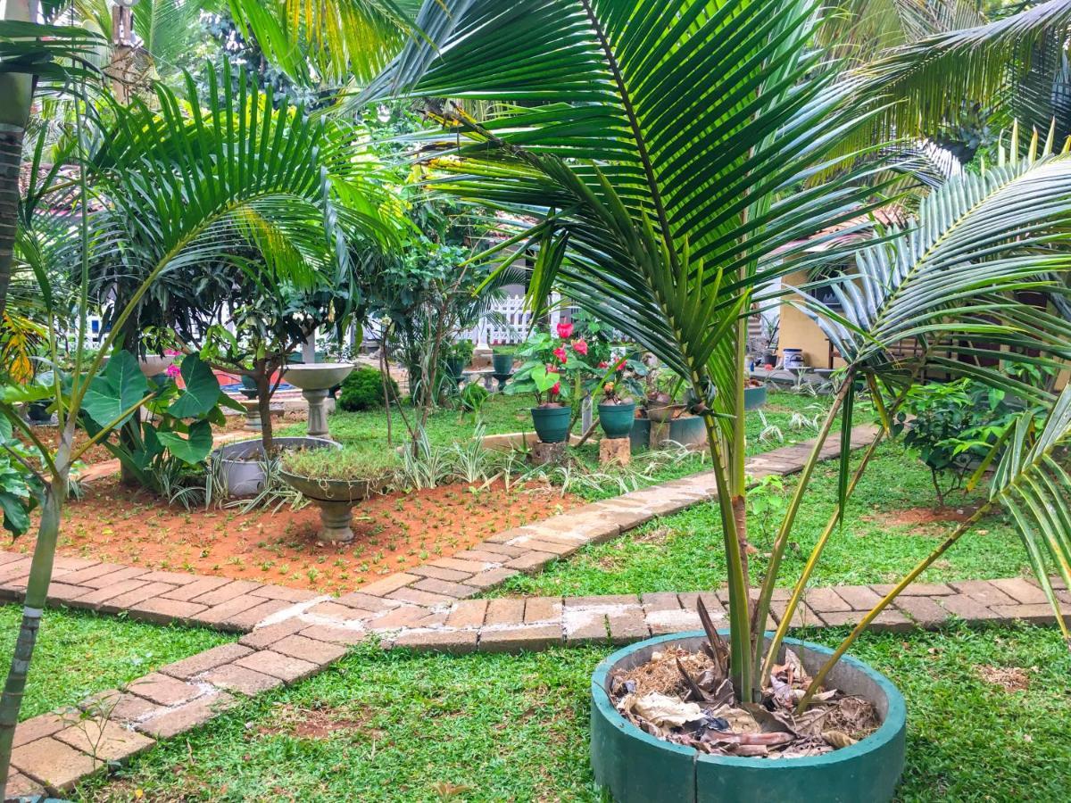 Hiriketiya Cinnamon Garden Dikwella Luaran gambar